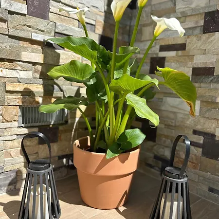 Casa vacanze Bonita