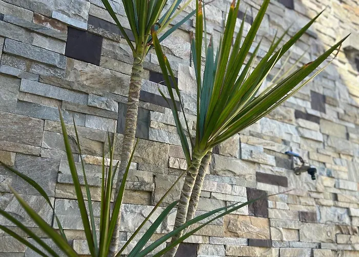 Bonita קורדובה