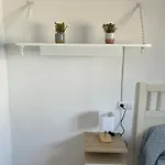 Bonita * קורדובה